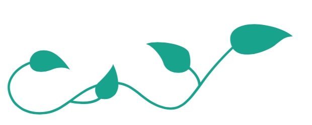 Ivy Creek Healthcare