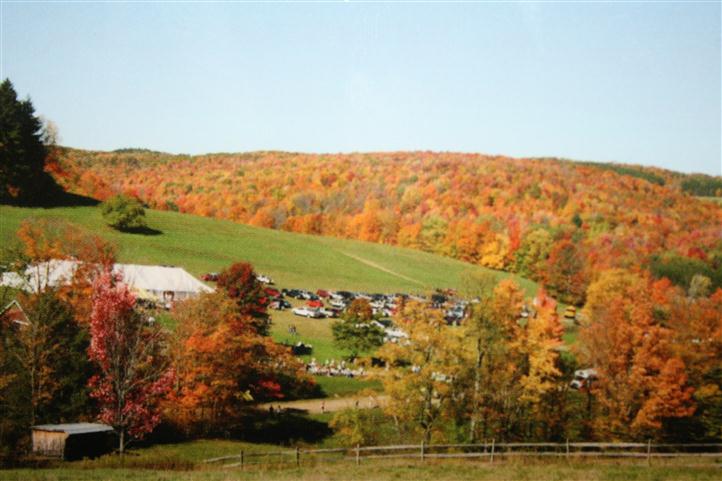 Wellsville Manor Care Center workplace 2